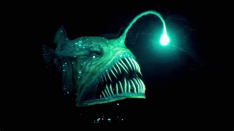 The Creepy Glow of the Deep Sea Anglerfish.